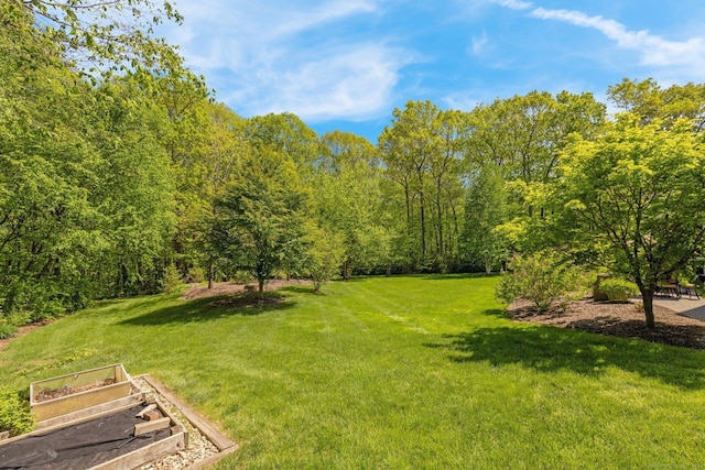 14 Withe Pass, Burlington, CT 06013 - view of grassy yard