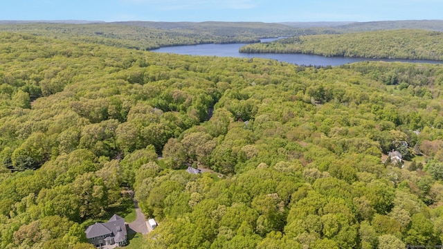 14 Withe Pass, Burlington, CT 06013 - drone / aerial view of a heavily wooded area and a large body of water