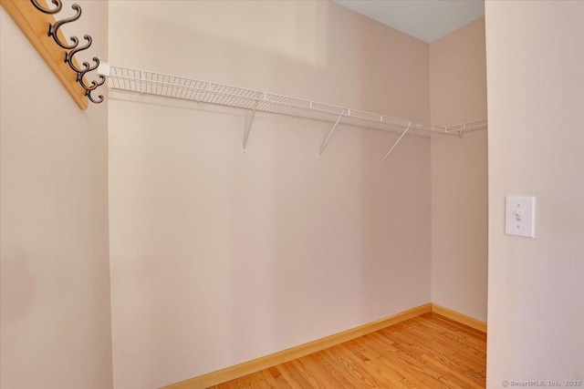 503 Dzen Way Unit 503, South Windsor, CT 06074 - walk in closet featuring wood finished floors