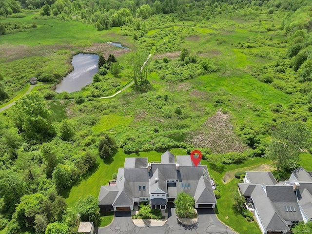 503 Dzen Way Unit 503, South Windsor, CT 06074 - drone / aerial view of a large body of water and a heavily wooded area