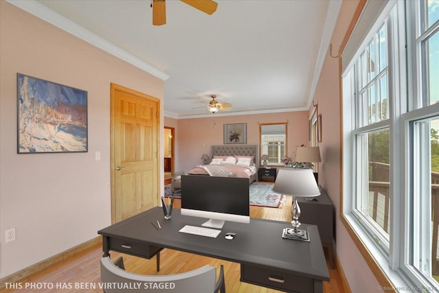 503 Dzen Way Unit 503, South Windsor, CT 06074 - office space featuring a ceiling fan, crown molding, and light wood finished floors