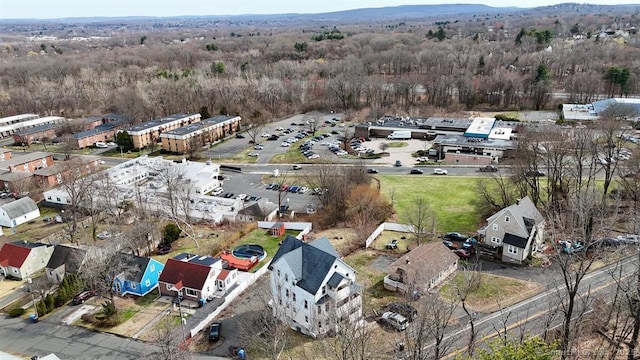 220 Kensington Ave, New Britain, CT 06051 - bird's eye view of a heavily wooded area
