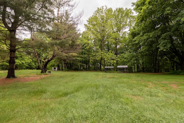 165 Scantic Meadow Rd, South Windsor, CT 06074 - view of yard
