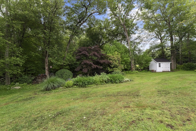 38 Rossie St, Stonington, CT 06355 - view of green lawn with a storage shed