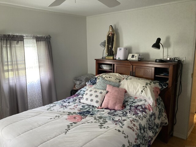 7 Cedar Grove Rd, Southington, CT 06489 - bedroom with crown molding and ceiling fan