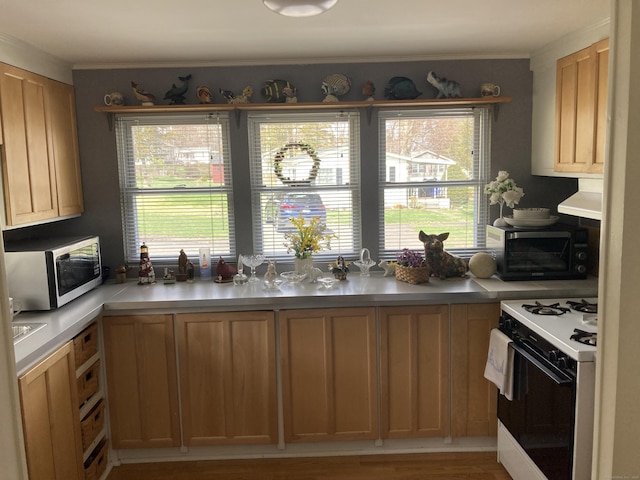 7 Cedar Grove Rd, Southington, CT 06489 - kitchen with gas range, stainless steel microwave, light countertops, and light wood-type flooring