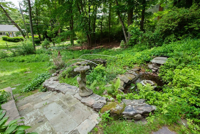 106 Hedgehog Ln, Simsbury, CT 06092 - view of yard