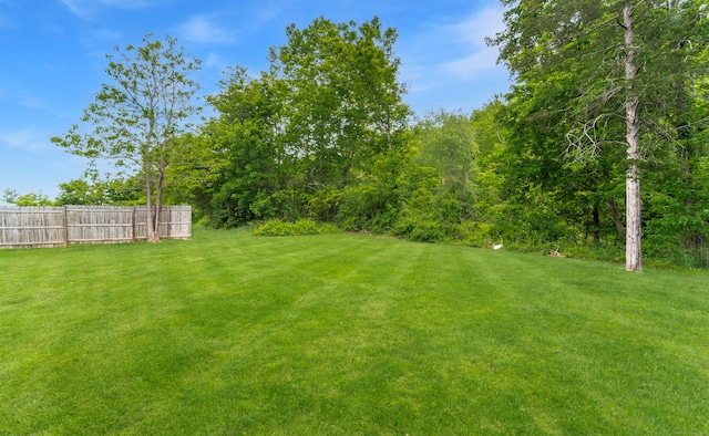 251 Forest Rd, North Branford, CT 06472 - view of yard