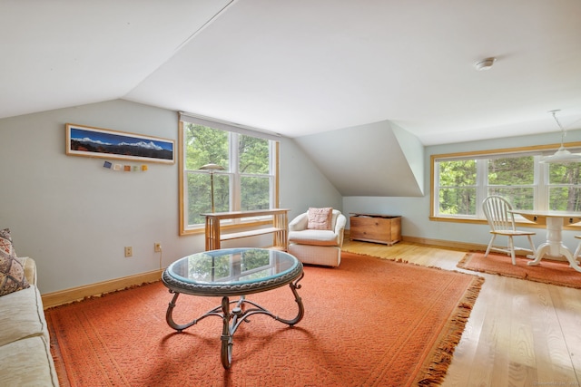 143 Petticoat Ln, East Haddam, CT 06423 - living area with wood finished floors, vaulted ceiling, and baseboards