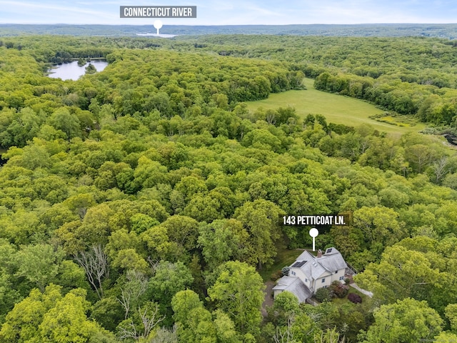 143 Petticoat Ln, East Haddam, CT 06423 - bird's eye view of a heavily wooded area and a nearby body of water