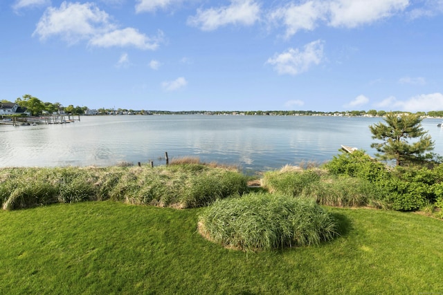 47 Neptune Ave, Norwalk, CT 06854 - photo 29
