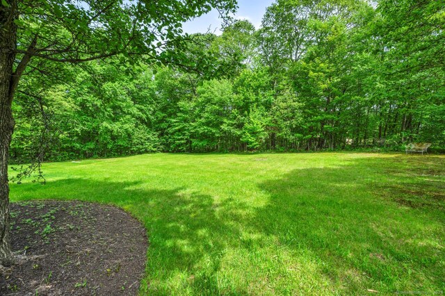 16 Timber Hill Rd, Prospect, CT 06712 - photo 35
