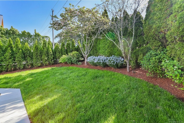 5 Compo Hill Ave, Westport, CT 06880 - view of grassy yard
