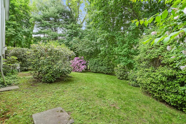 10 Crossland Pl, Norwalk, CT 06851 - view of grassy yard