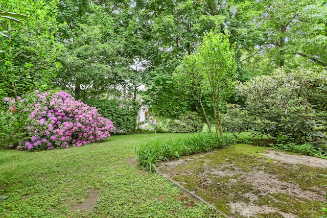 10 Crossland Pl, Norwalk, CT 06851 - view of green lawn