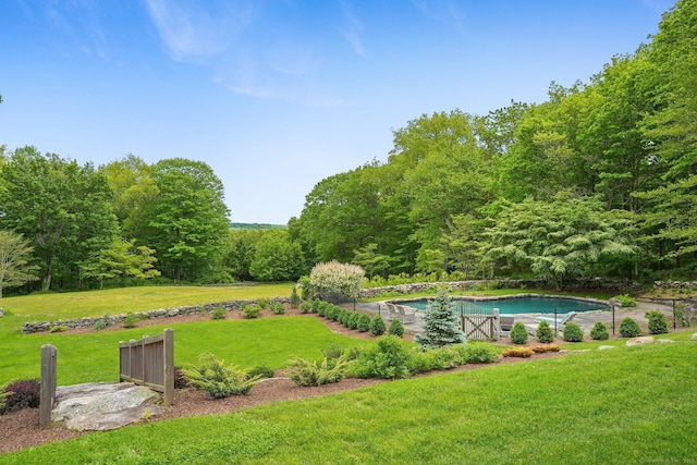 128 Chestnut Hill Rd, Killingworth, CT 06419 - view of green lawn with an outdoor pool and a view of trees