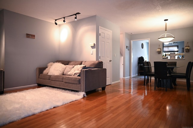 196 New Haven Ave Unit 217, Derby, CT 06418 - living room with hardwood / wood-style floors, rail lighting, and baseboards