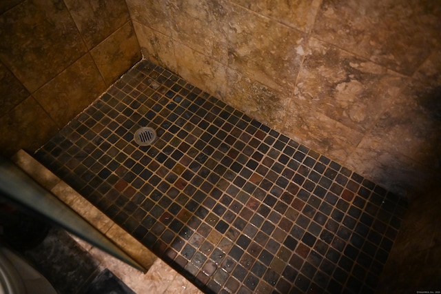 196 New Haven Ave Unit 217, Derby, CT 06418 - bathroom view of tiled shower