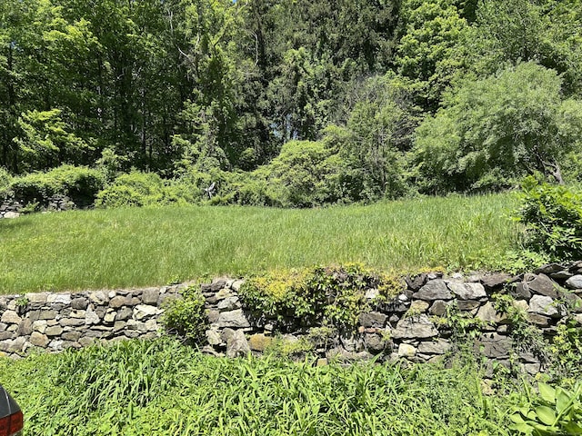 14 W Branchville Rd, Ridgefield, CT 06877 - photo 6