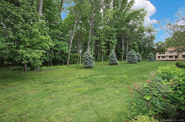 198 Mattabasset Dr Unit 198, Meriden, CT 06450 - view of grassy yard