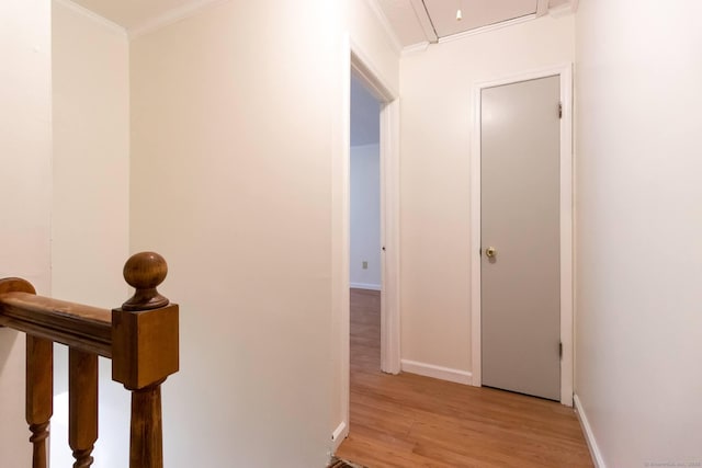 146 Macarthur Dr Unit 2B, Waterbury, CT 06704 - hall with crown molding, light wood-style flooring, and baseboards