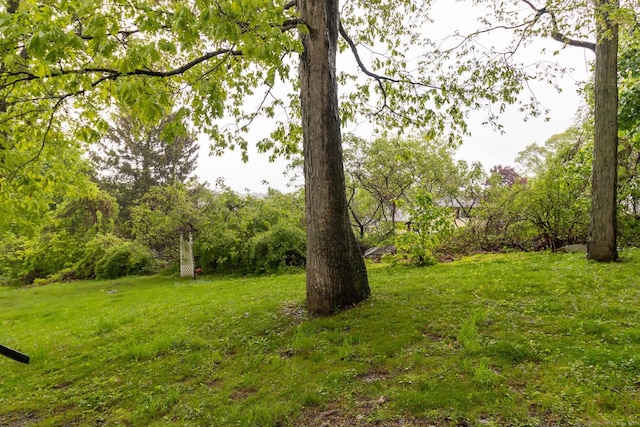 146 Macarthur Dr Unit 2B, Waterbury, CT 06704 - view of grassy yard