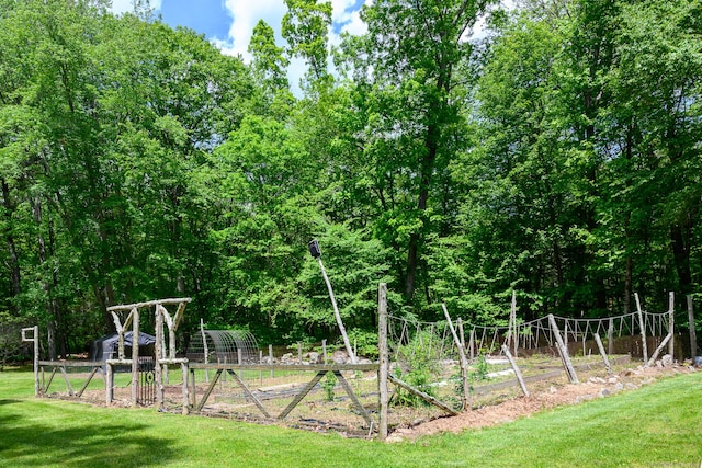 138 Baltic Hanover Rd, Sprague, CT 06330 - view of yard featuring a garden and an outdoor structure