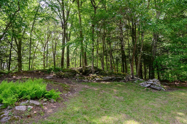 138 Baltic Hanover Rd, Sprague, CT 06330 - view of yard with a view of trees