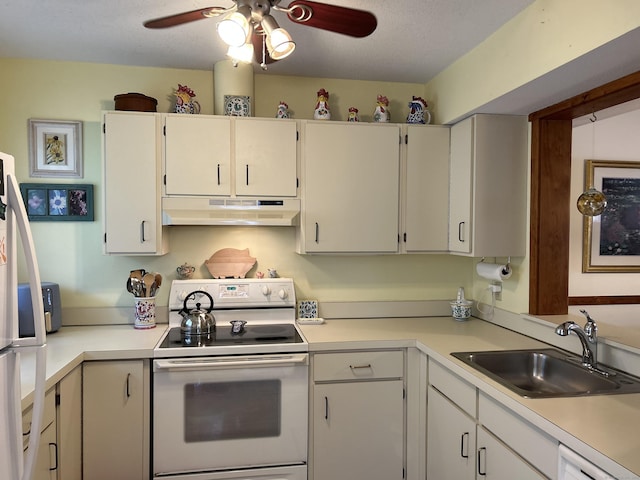 6 Deer Hill Ct Unit 6, Woodbury, CT 06798 - kitchen featuring under cabinet range hood, white appliances, a sink, ceiling fan, and light countertops