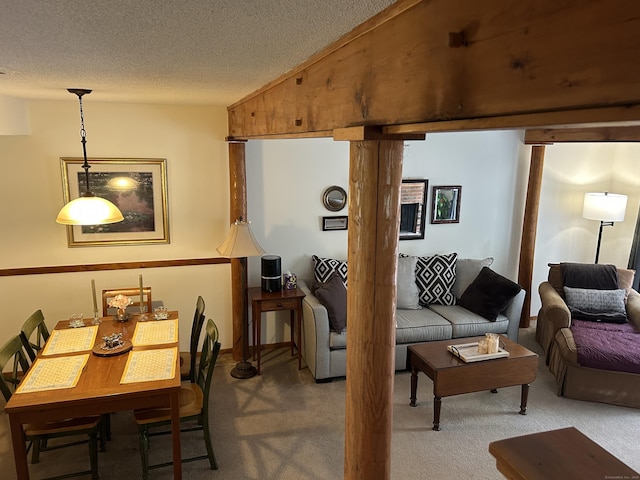 6 Deer Hill Ct Unit 6, Woodbury, CT 06798 - living room with carpet floors and a textured ceiling