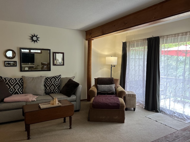 6 Deer Hill Ct Unit 6, Woodbury, CT 06798 - living area with carpet floors