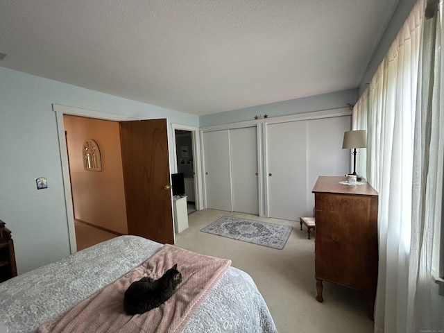 6 Deer Hill Ct Unit 6, Woodbury, CT 06798 - bedroom with two closets and light colored carpet
