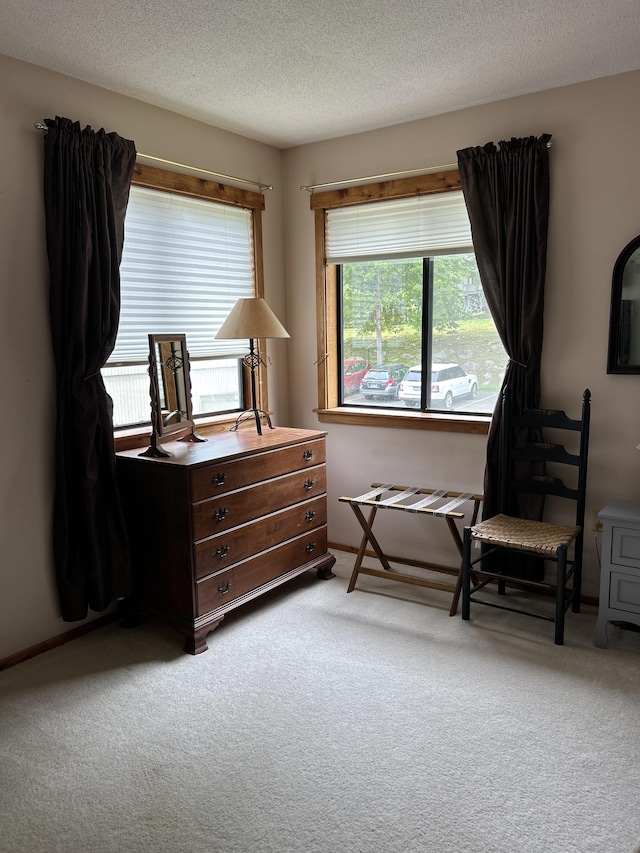 6 Deer Hill Ct Unit 6, Woodbury, CT 06798 - sitting room featuring carpet floors and a textured ceiling
