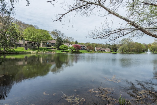 78 Heritage Vlg Unit A, Southbury, CT 06488 - water view