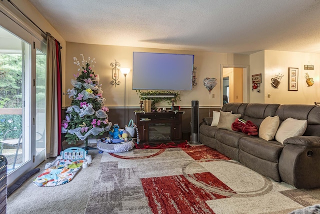 108 Ashmead Commons Unit 108, Enfield, CT 06082 - living area featuring a textured ceiling and carpet floors