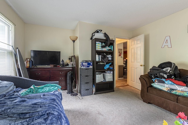 108 Ashmead Commons Unit 108, Enfield, CT 06082 - view of carpeted bedroom