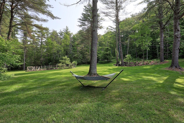 11 College Hill Rd, North Canaan, CT 06018 - view of green lawn