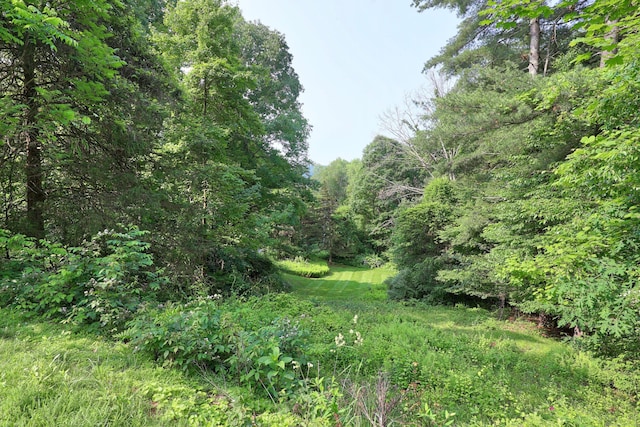 11 College Hill Rd, North Canaan, CT 06018 - view of woods