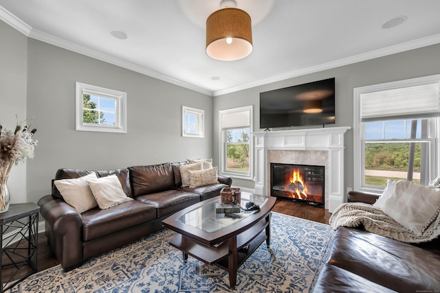 562 Upper Grassy Hill Rd, Woodbury, CT 06798 - living room featuring wood finished floors, crown molding, plenty of natural light, and a fireplace