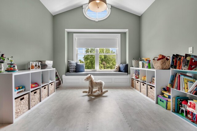 562 Upper Grassy Hill Rd, Woodbury, CT 06798 - recreation room featuring vaulted ceiling