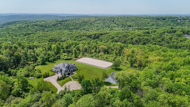 562 Upper Grassy Hill Rd, Woodbury, CT 06798 - drone / aerial view of a forest