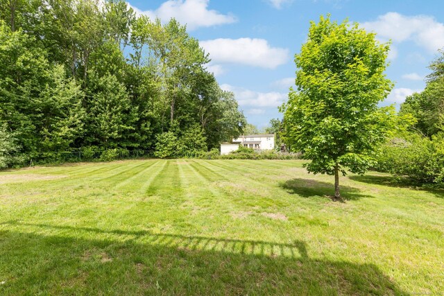 447 Palisado Ave, Windsor, CT 06095 - view of green lawn
