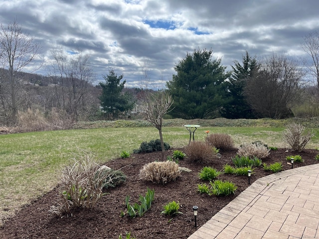 41 Mesa Dr, Bethany, CT 06524 - view of grassy yard
