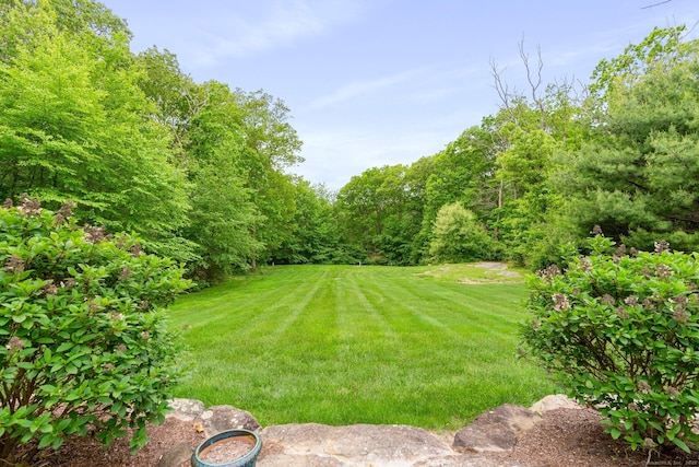 220 Bushy Hill Rd, Deep River, CT 06417 - view of grassy yard