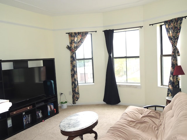 16 Essex St Unit 5F, Hartford, CT 06114 - living room featuring carpet flooring