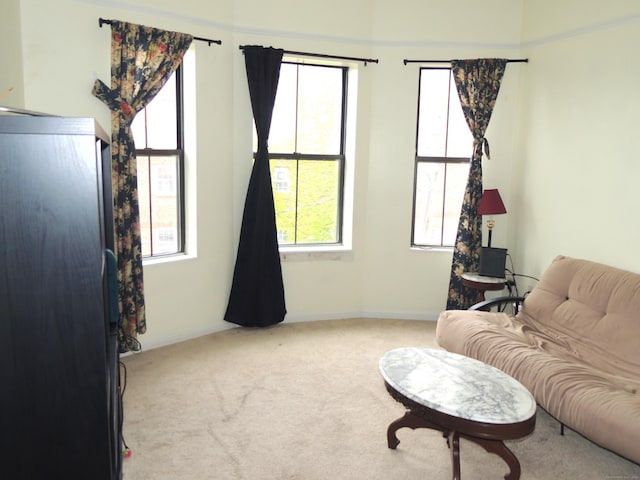 16 Essex St Unit 5F, Hartford, CT 06114 - living area with carpet