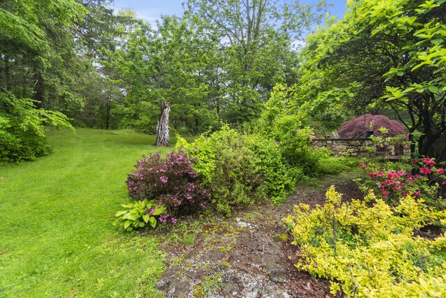 238 Park Rd, Oxford, CT 06478 - view of grassy yard