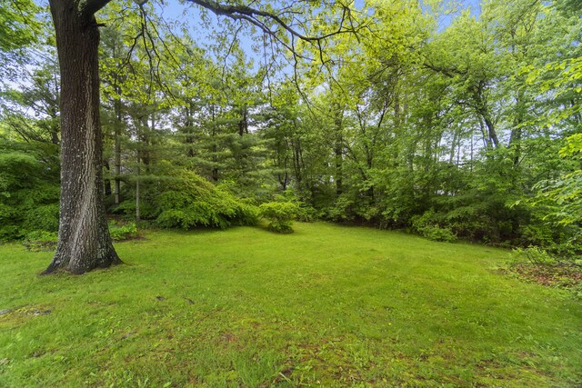 238 Park Rd, Oxford, CT 06478 - view of green lawn