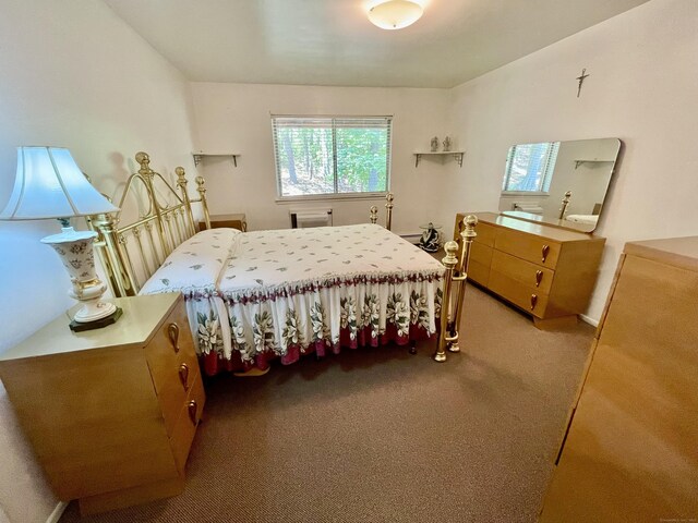 200 Woodmont Ave Apt 127, Bridgeport, CT 06606 - view of carpeted bedroom