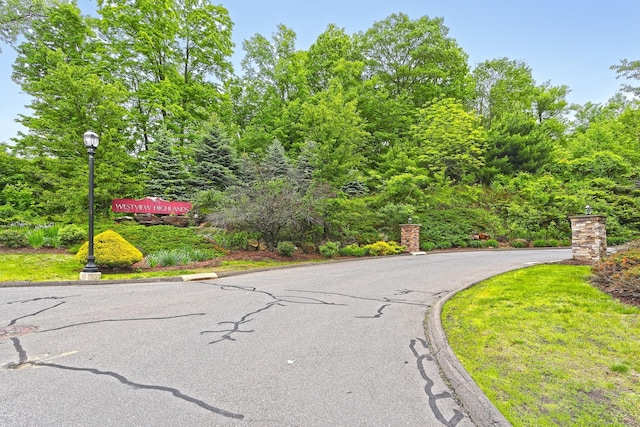 95 S Ridge Ln Unit A203, Berlin, CT 06037 - view of asphalt road featuring street lighting and curbs